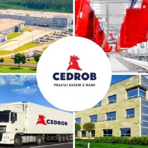 Elektromechanik w Zespole utrzymania ruchu - Raciąż
